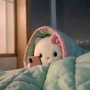 화가난 닭&제육 | 새해 복 마니마니