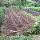 상현2농장 이미지