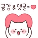 후니컴퍼니 이미지
