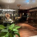 싸이당구장 | 시암 베이쇼어 리조트 파타야 바Bar와 헬스장 정보