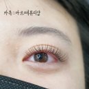 아르떼뷰티 네이버블로그