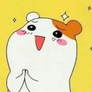 호우양꼬치 이미지