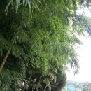 죽암영농 이미지