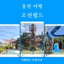 홍천 여행_소노벨얼리버드패키지 오션월드 평일 방문 후기(먹거리·준비물)