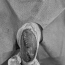 미사튼튼병원 이미지