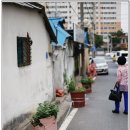 오십미리 이미지
