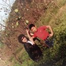 황금연합신경외과의원 이미지