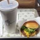 V-12 | 2024 12월 서일페 v.18 관람 후기 및 작품 추천