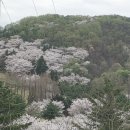 강산공인중개사사무소 이미지