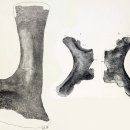 알라모사우루스 이미지