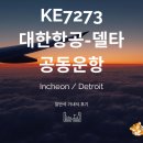 7273 | KE7273 델타항공 대한항공 공동운항 인천 디트로이트 좌석배열 일반석 기내식 후기