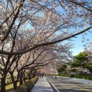 왕인박사유적지 월악루 이미지