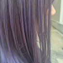 슈보헤어 이미지