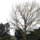 중암사지 팔각부도 이미지