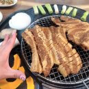 시민도야지