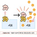 삼송동물병원