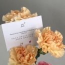 투티프루티 - 강남구 도산대로37길 8 | 투티프루티