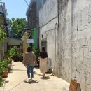 골목산타로사