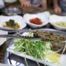 보성녹차떡갈비