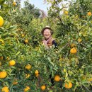 야베스농장 이미지