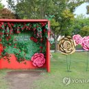 곡성심청축제장 이미지