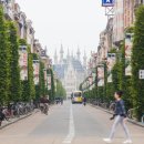 플랜더스 이미지