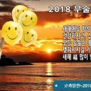 청학1동행정복지센터 이미지