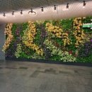 수직의 정원 이미지