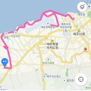 바람불면 바람부는 대로(12/19일 올레17코스 걷기 후기) 이미지