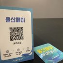 포커스짐 이미지