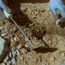 빨간 시골집 이미지