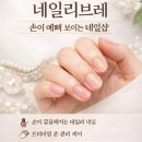 네일리브레 이미지