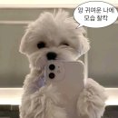 한양대학1길 이미지