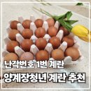 마음에 | 난각번호 1번 유정란, 에어셀 포장까지 마음에 쏙 든 계란 후기