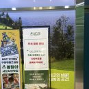 봄담아 샤브샤브 주차 예약 목동 신정네거리역 맛집 추천