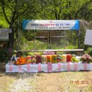 송추초등학교 이미지