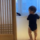 프레지던트호텔 이미지