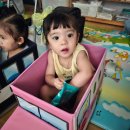 토마토시네마 이미지