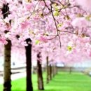 행복일번지 이미지