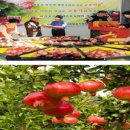 고흥석류친환경 영농조합법인