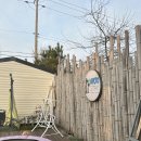 [양양]애견동반 카라반 '하조스테이' 내돈내산 대실망 후기