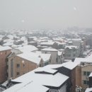 아크릴화 일러스트 이미지