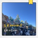 도쿄 디즈니씨 후기 오픈런 꿀팁 총정리