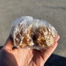 송아꿀빵