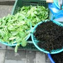 봉덕농장 이미지