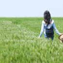 카페에 글 올리는 분들은... 이미지