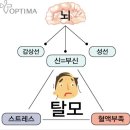 옵티마우리약국 | 강남역 약국, 영양제 고르는 기준, 이것 모르면 돈 낭비 (대표 약사 작성)