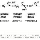 산화환원전위 이미지