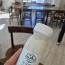 복지목장 | 내돈내산 제주아침미소목장 무가당요거트&amp;카이막 배달 후기