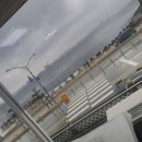 포항물회사랑 이미지